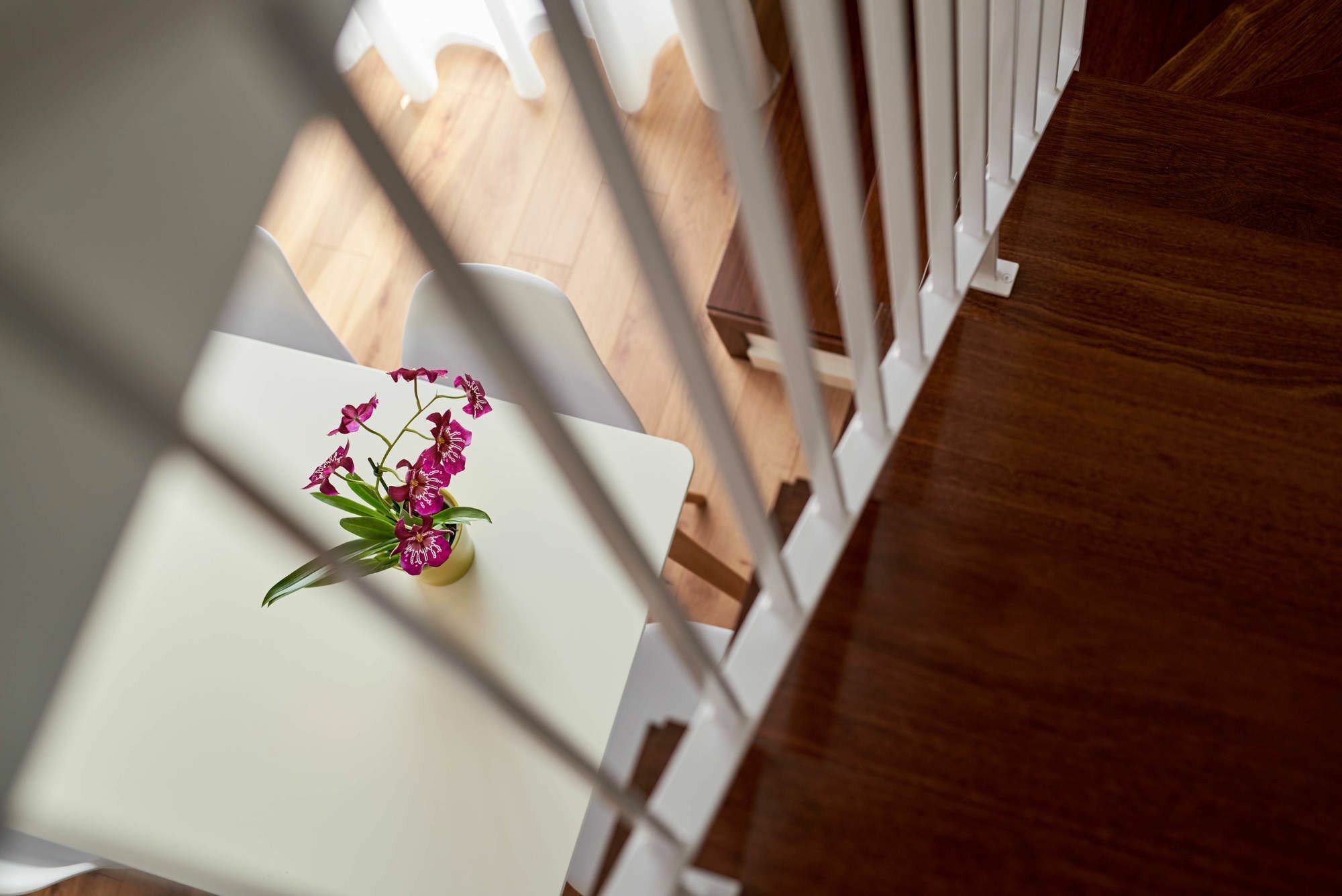 Apartamentos Ponte Nova Porto Ngoại thất bức ảnh